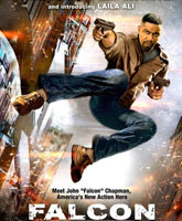 Falcon Rising /  